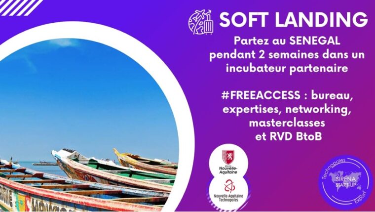 Expérimentez le marché Sénégalais pendant 10 jours avec le programme de Softlanding Exchange !